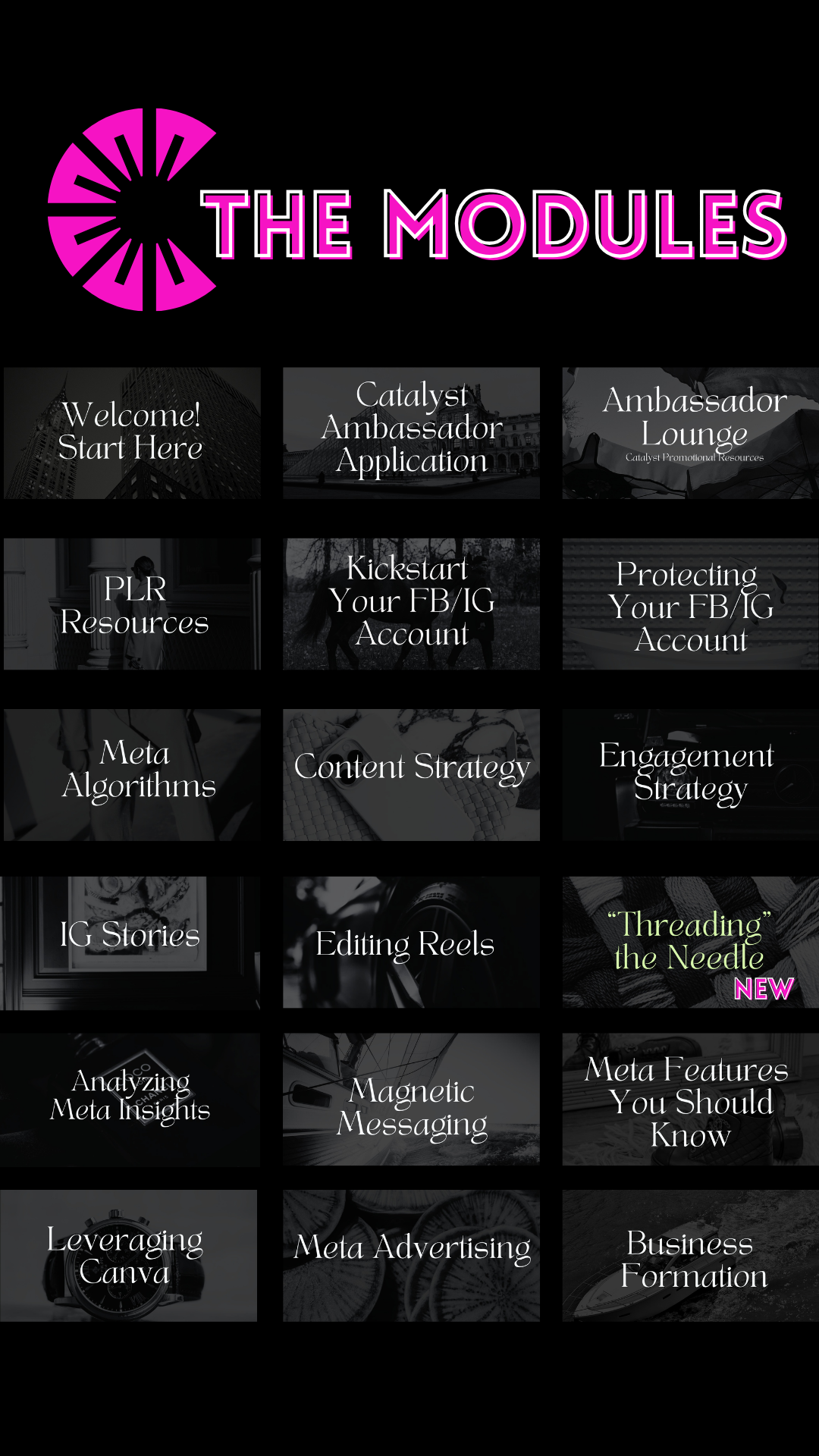 Free eBook: The Catalyst Collective Sneak Peek Freebie | Instagram Growth Digital Marketing Course