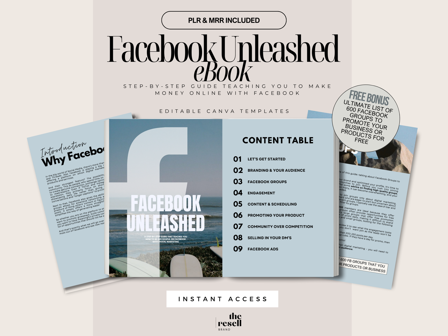 Facebook Unleashed eBook with PLR & MRR + Bonus 600 Facebook Group List | Make Money Online | Facebook Digital Marketing Guide | Resell Rights