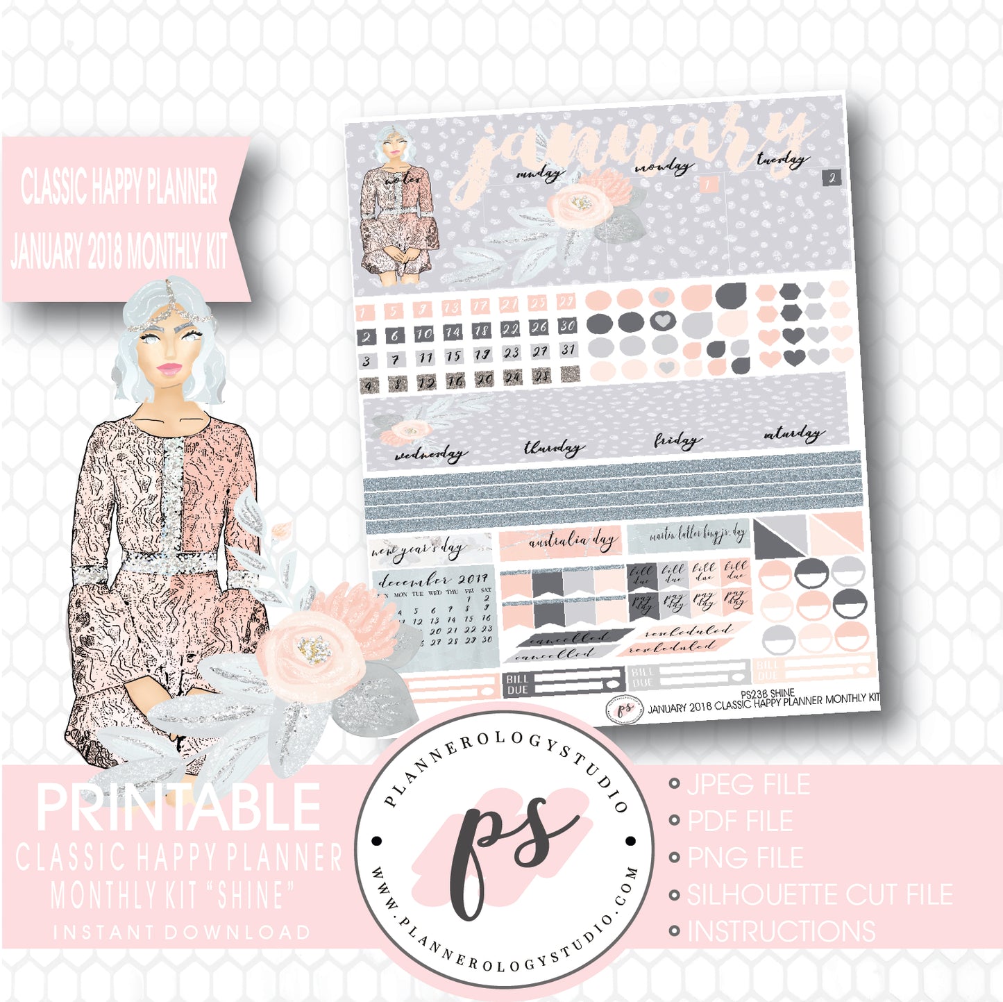 Shine January 2018 Monthly View Kit Printable Planner Stickers (for use with Classic Happy Planner) - Plannerologystudio