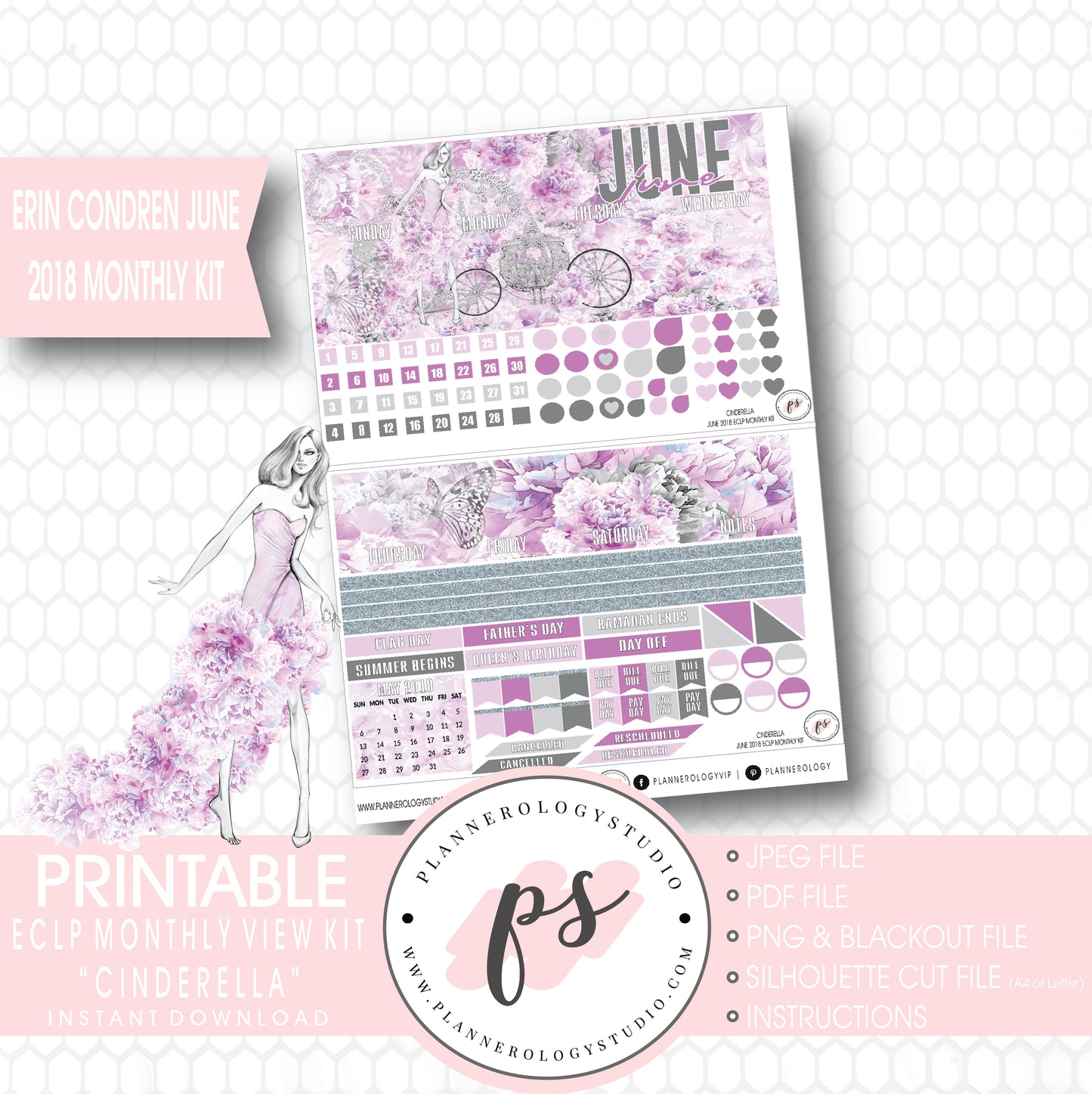 Cinderella June 2018 Monthly View Kit Digital Printable Planner Stickers (for use with Erin Condren) - Plannerologystudio