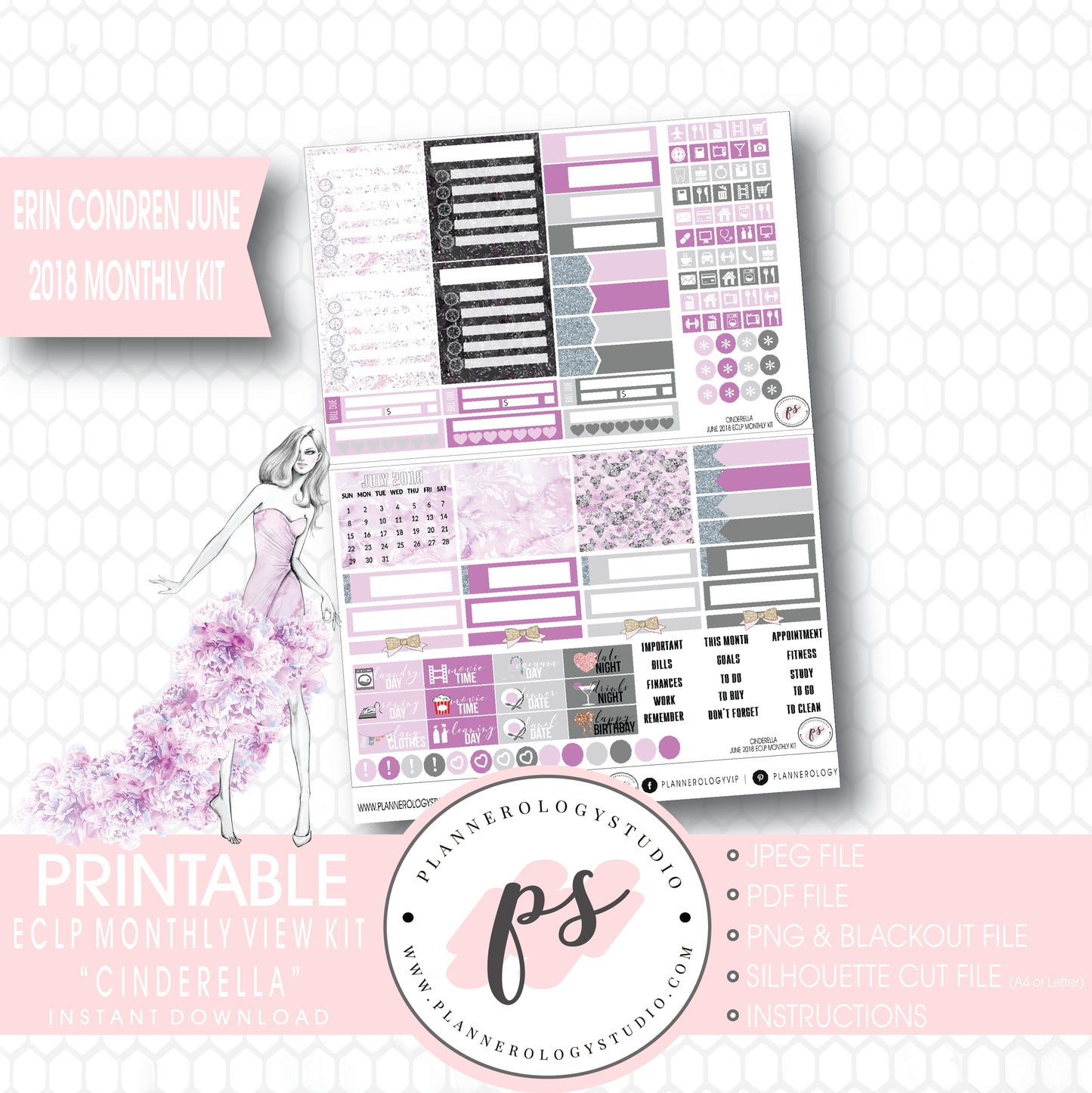 Cinderella June 2018 Monthly View Kit Digital Printable Planner Stickers (for use with Erin Condren) - Plannerologystudio