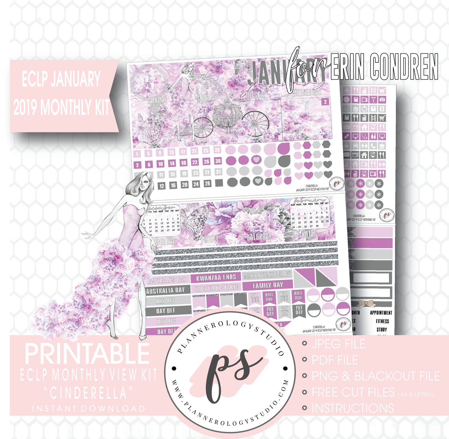 Cinderella New Years January 2019 Monthly View Kit Digital Printable Planner Stickers (for use with Erin Condren) - Plannerologystudio