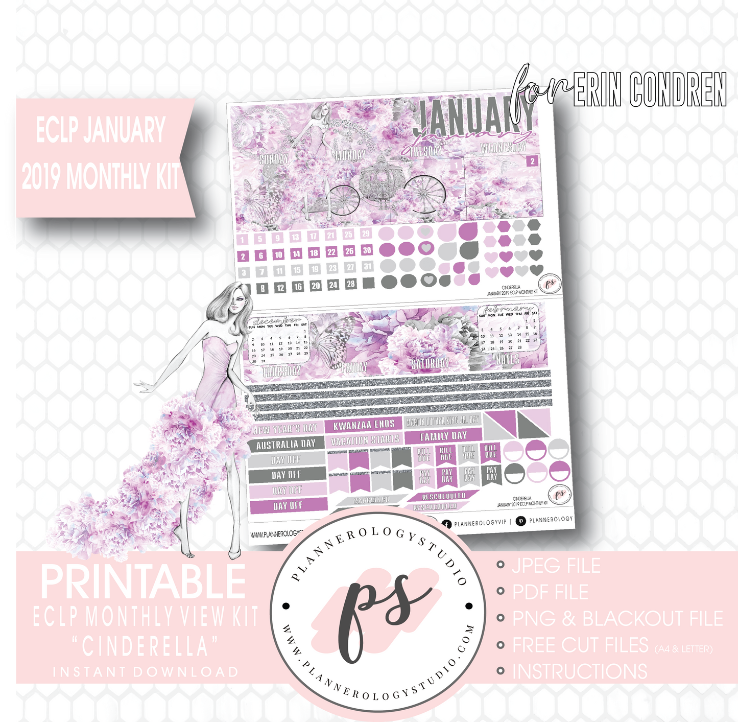 Cinderella New Years January 2019 Monthly View Kit Digital Printable Planner Stickers (for use with Erin Condren) - Plannerologystudio