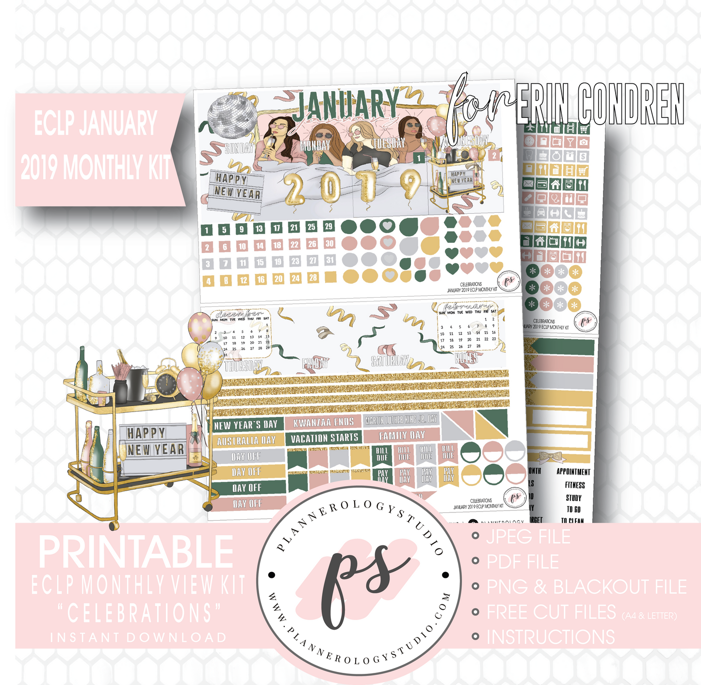Celebrations New Years January 2019 Monthly View Kit Digital Printable Planner Stickers (for use with Erin Condren) - Plannerologystudio