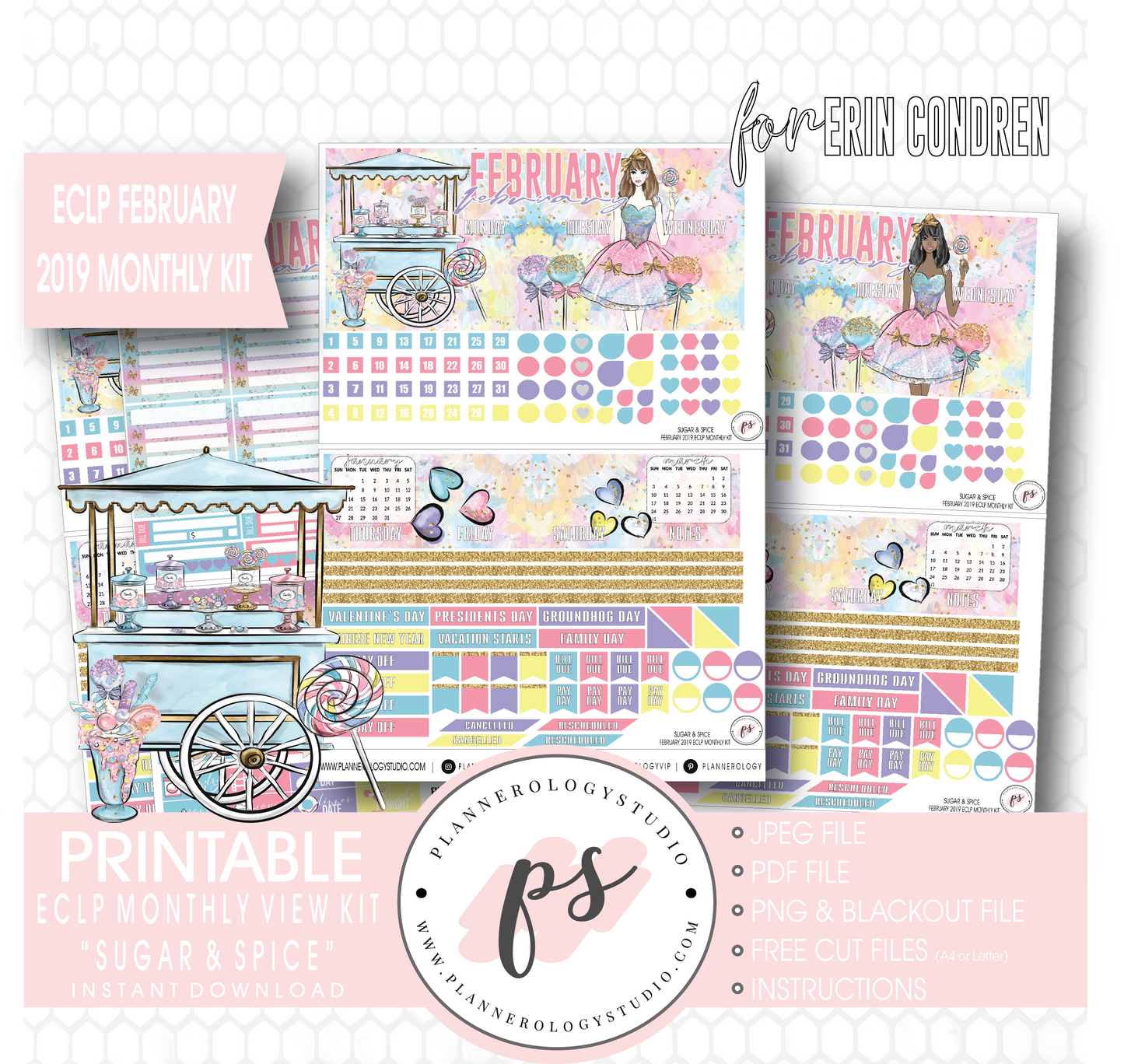 Sugar & Spice February 2019 Monthly View Kit Digital Printable Planner Stickers (for use with Erin Condren) - Plannerologystudio
