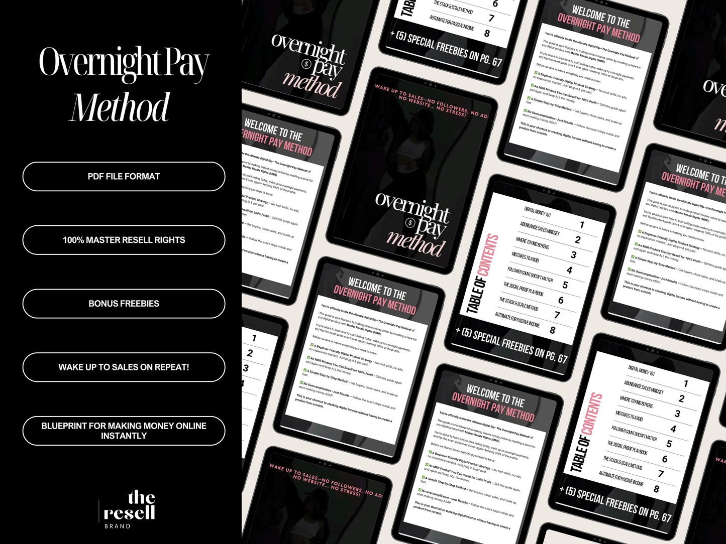Overnight Pay Method eBook with MRR - Digital Download for Passive Income, Resell Rights, Online Business Guide, Instant Download
