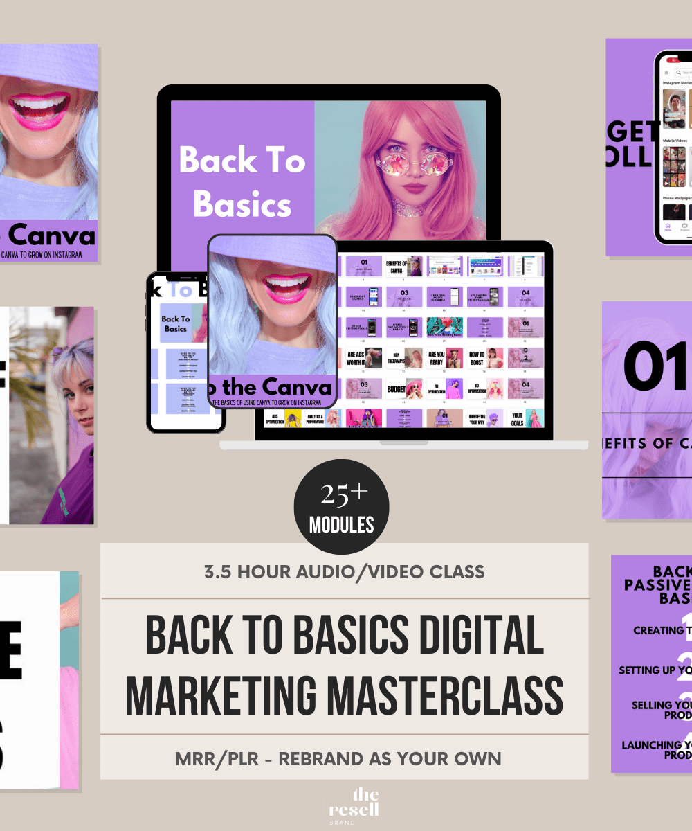 Back to Basics Digital Marketing Masterclass 3.5 Hour Video Course | 25+ Modules | Viral IG 101 Course | Digital Marketing Course with PLR & MRR