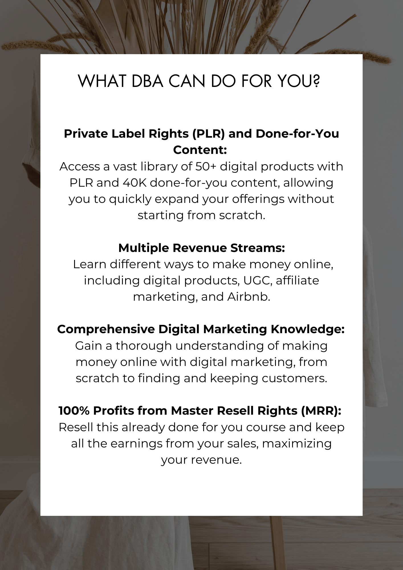 Digital Boss Academy (DBA) MRR Digital Marketing Course & PLR Community Volume 1 ONLY