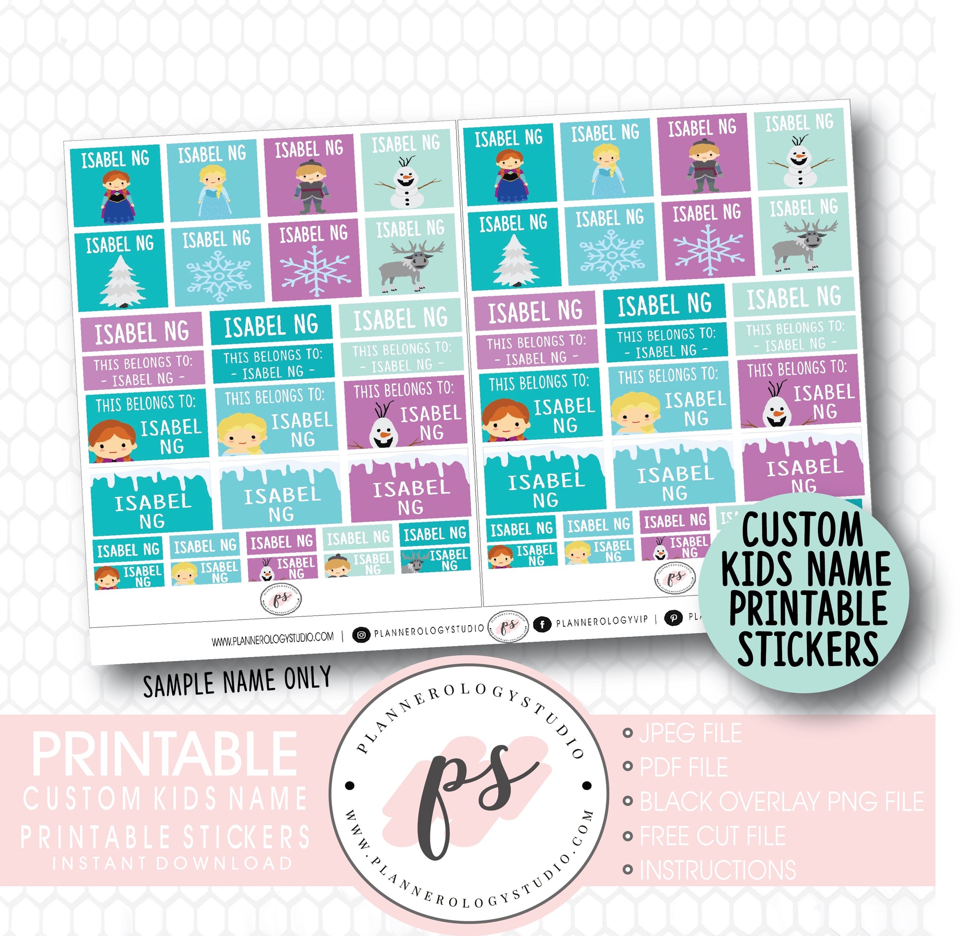 Disney Frozen Inspired Custom Customised Kids Name Digital Printable Label Stickers - Plannerologystudio