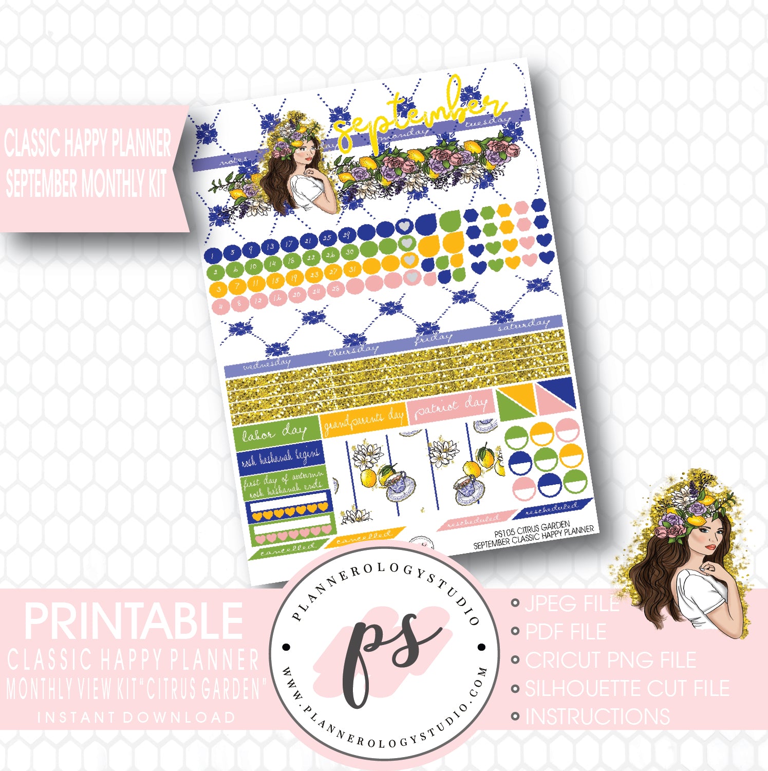 "Citrus Garden" September 2017 Monthly View Kit Printable Planner Stickers (for use with Mambi Classic Happy Planner) - Plannerologystudio