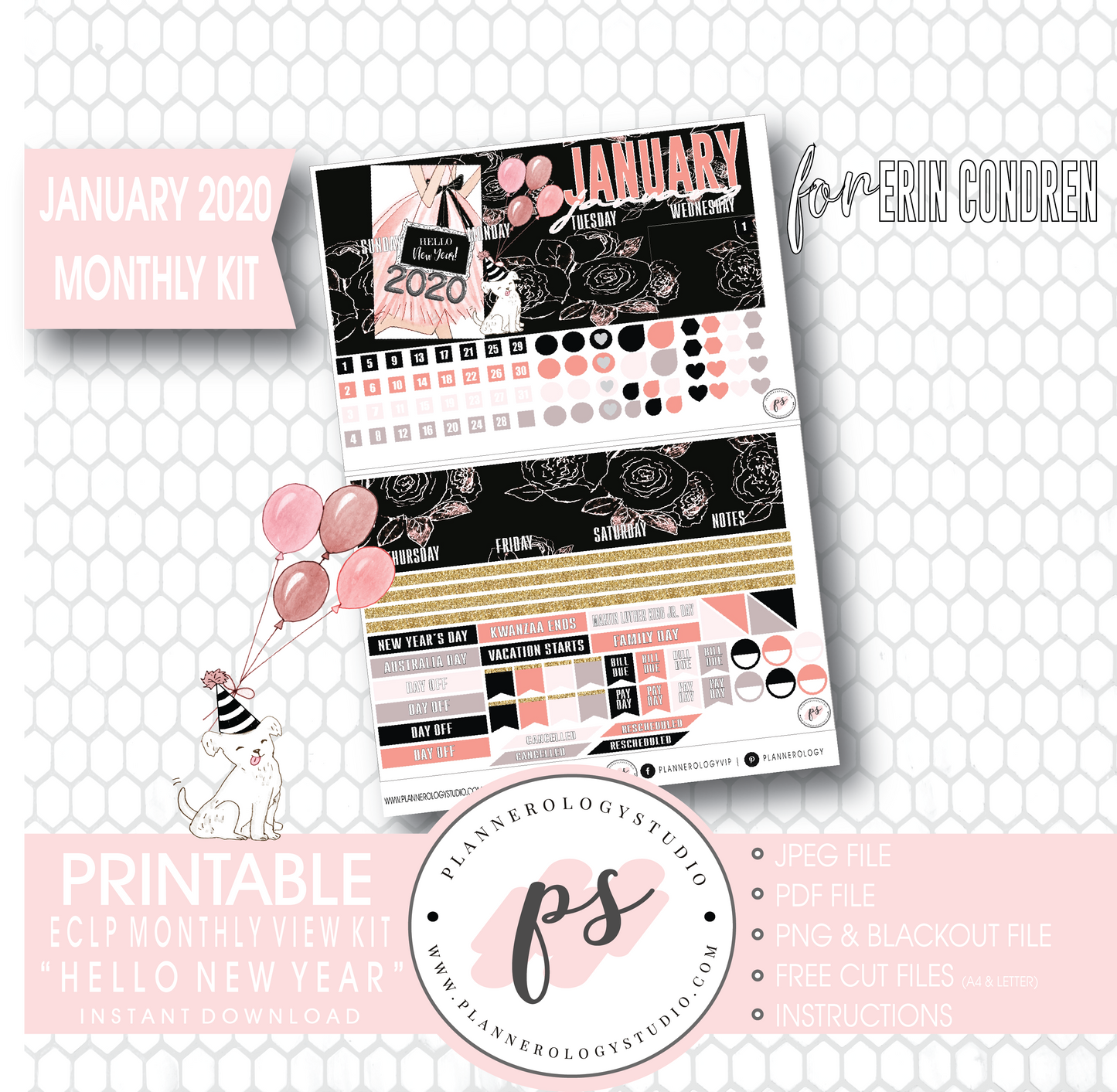 Hello New Year January 2020 Monthly View Kit Digital Printable Planner Stickers (for use with Erin Condren) - Plannerologystudio