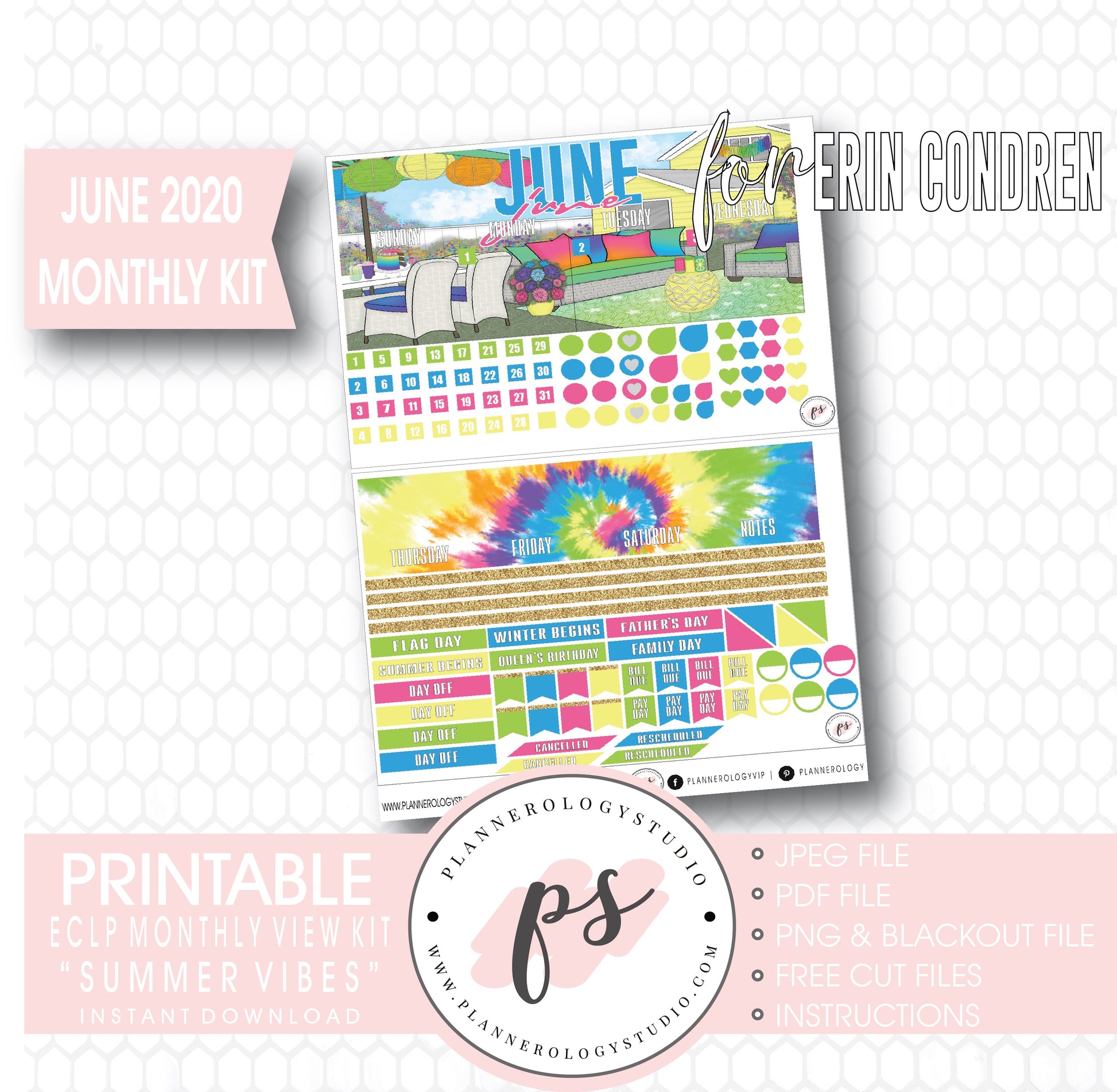Summer Vibes June 2020 Monthly View Kit Digital Printable Planner Stickers (for use with Erin Condren) - Plannerologystudio