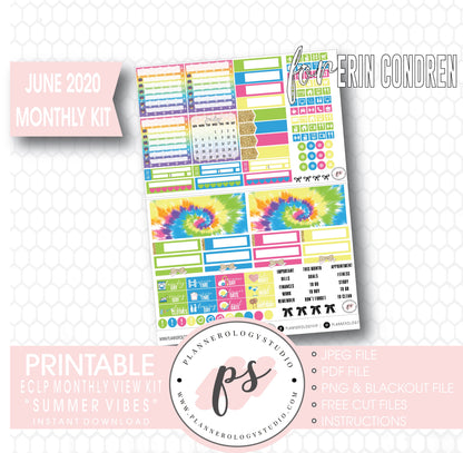 Summer Vibes June 2020 Monthly View Kit Digital Printable Planner Stickers (for use with Erin Condren) - Plannerologystudio