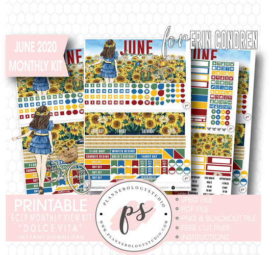 Dolce Vita June 2020 Monthly View Kit Digital Printable Planner Stickers (for use with Erin Condren) - Plannerologystudio