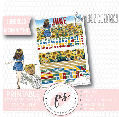 Dolce Vita June 2020 Monthly View Kit Digital Printable Planner Stickers (for use with Erin Condren) - Plannerologystudio