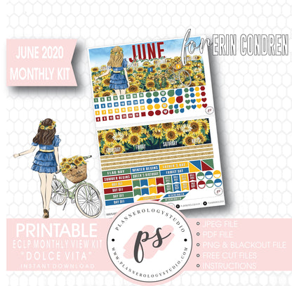 Dolce Vita June 2020 Monthly View Kit Digital Printable Planner Stickers (for use with Erin Condren) - Plannerologystudio