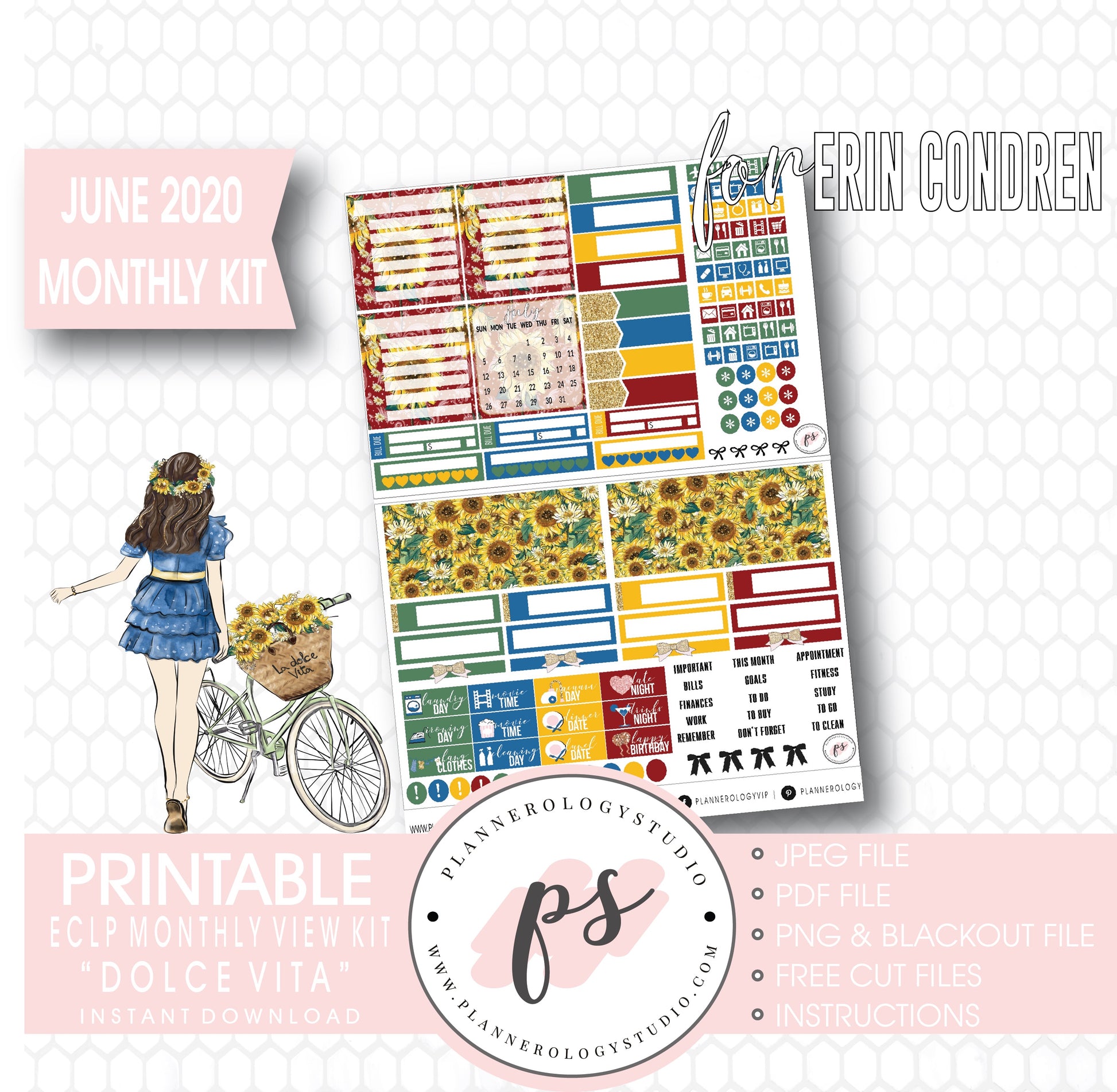 Dolce Vita June 2020 Monthly View Kit Digital Printable Planner Stickers (for use with Erin Condren) - Plannerologystudio