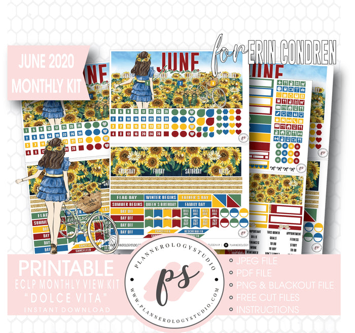Dolce Vita June 2020 Monthly View Kit Digital Printable Planner Stickers (for use with Erin Condren) - Plannerologystudio