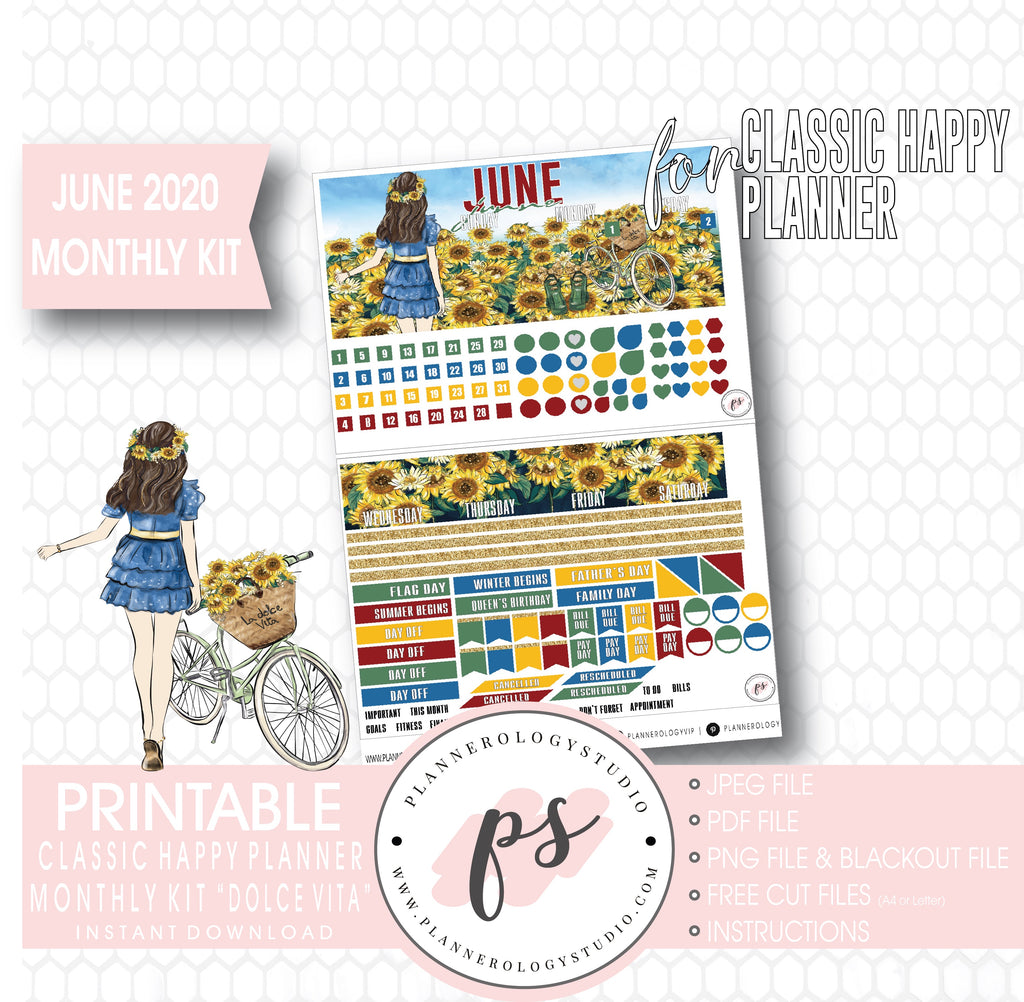 Dolce Vita June 2020 Monthly View Kit Digital Printable Planner Stickers (for use with Classic Happy Planner) - Plannerologystudio