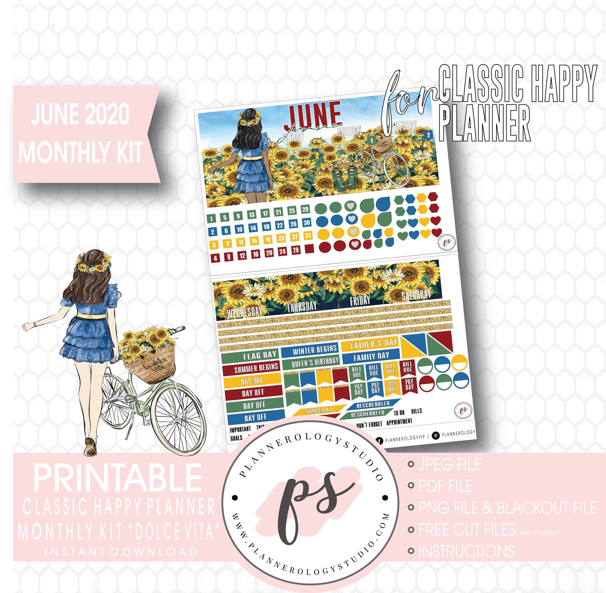 Dolce Vita June 2020 Monthly View Kit Digital Printable Planner Stickers (for use with Classic Happy Planner) - Plannerologystudio