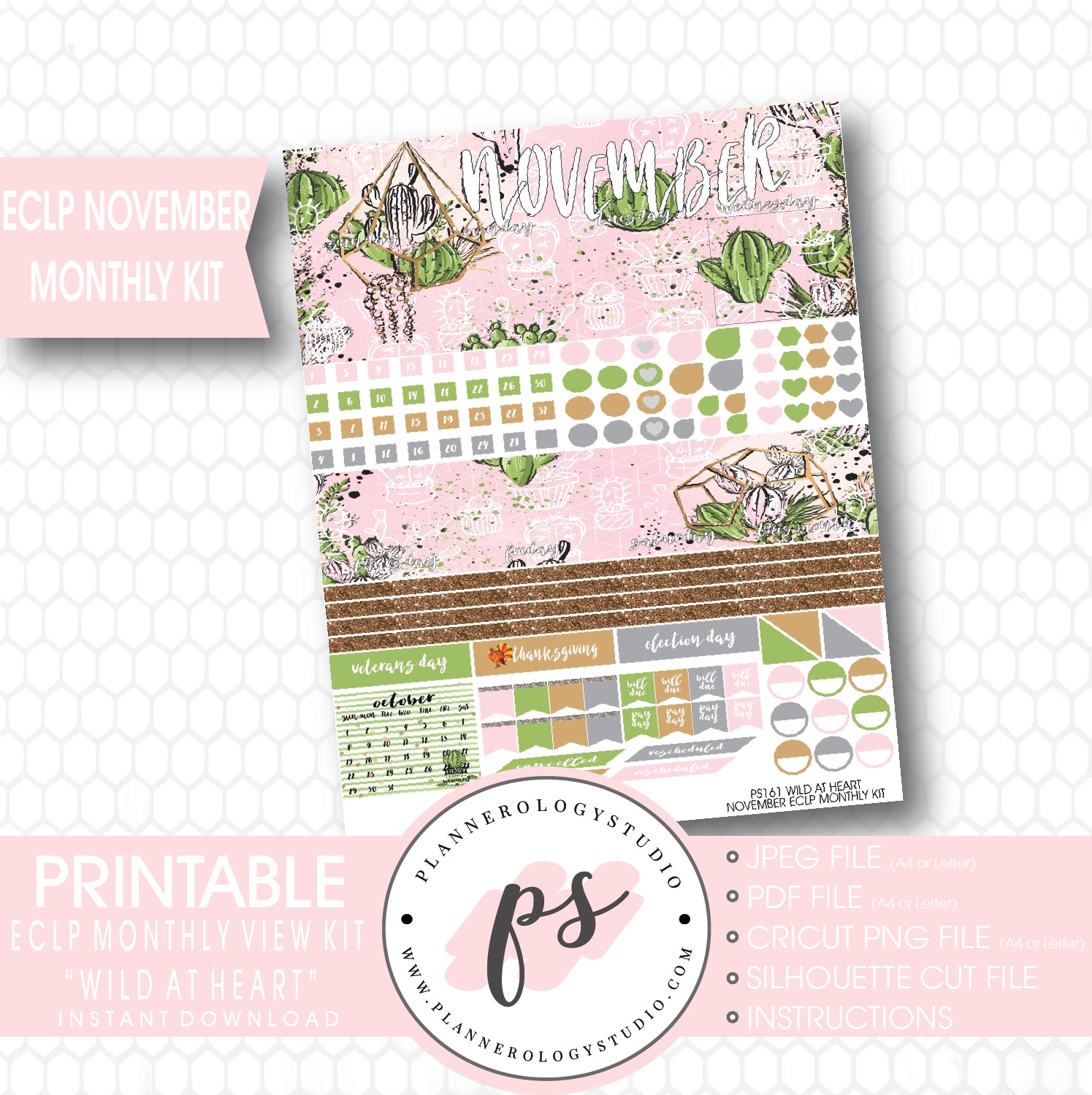Wild at Heart Cactus November 2017 Monthly View Kit Printable Planner Stickers (for use with ECLP) - Plannerologystudio