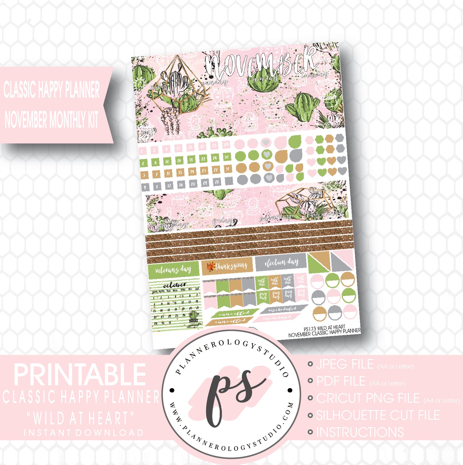 Wild at Heart Cactus November 2017 Monthly View Kit Printable Planner Stickers (for use with Classic Happy Planner) - Plannerologystudio