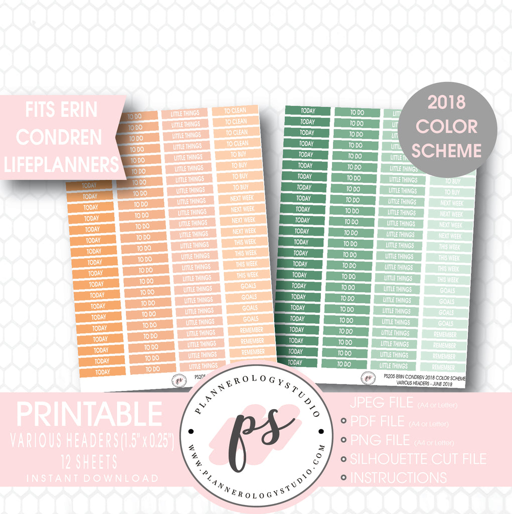 Erin Condren 2018 Color Scheme Header (Today, Today, etc) Printable Planner Stickers Bundle (12 Sheets) - Plannerologystudio