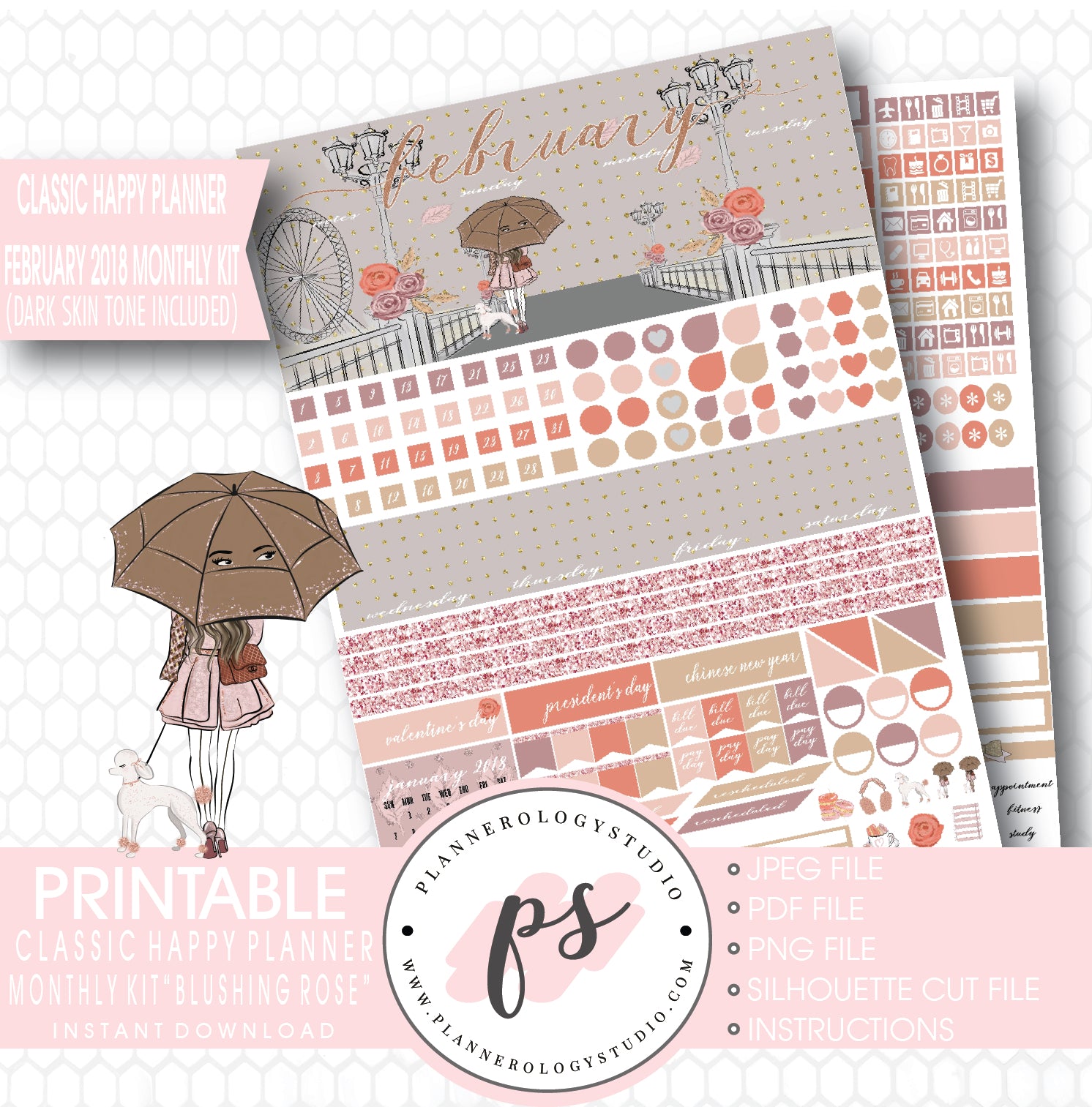 Blushing Rose February 2018 Monthly View Kit Printable Planner Stickers (Dark & Light Skintone) (for use with Classic Happy Planner) - Plannerologystudio