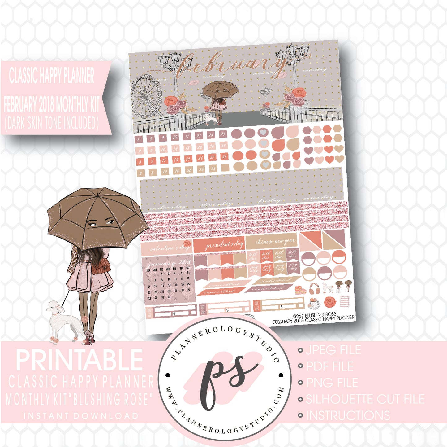 Blushing Rose February 2018 Monthly View Kit Printable Planner Stickers (Dark & Light Skintone) (for use with Classic Happy Planner) - Plannerologystudio