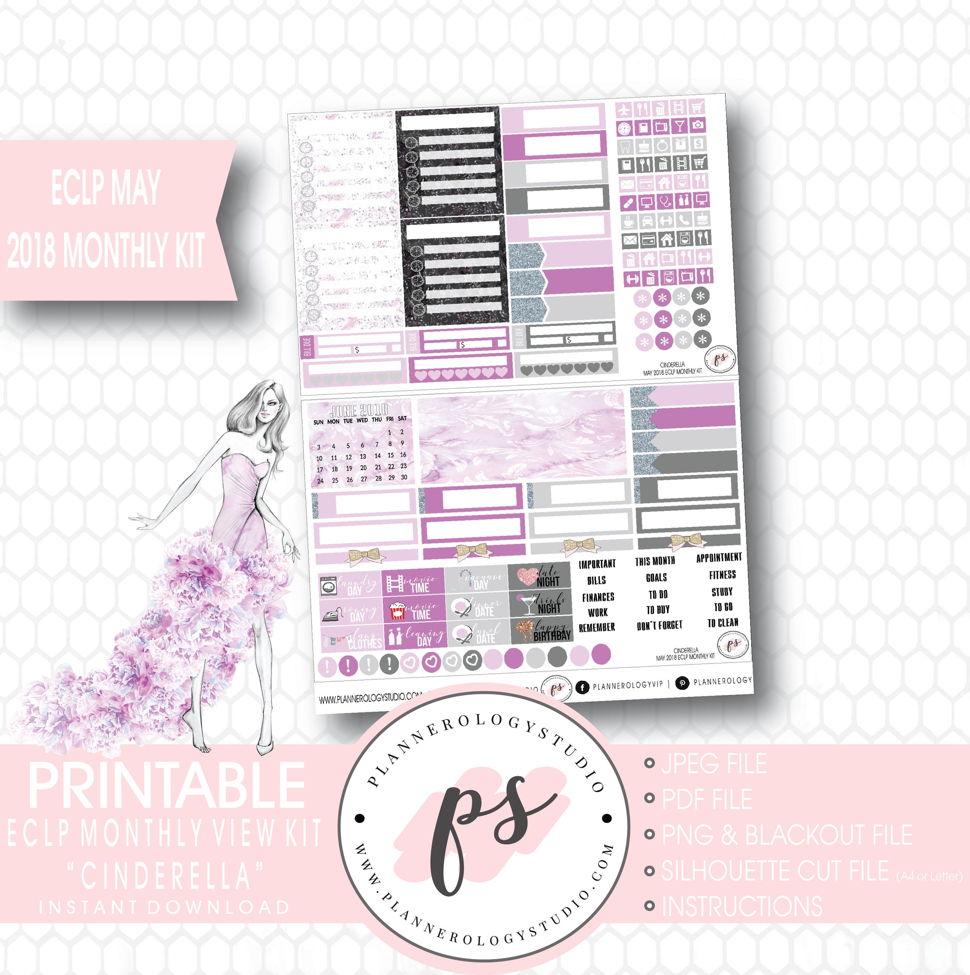 Cinderella May 2018 Monthly View Kit Digital Printable Planner Stickers (for use with Erin Condren) - Plannerologystudio