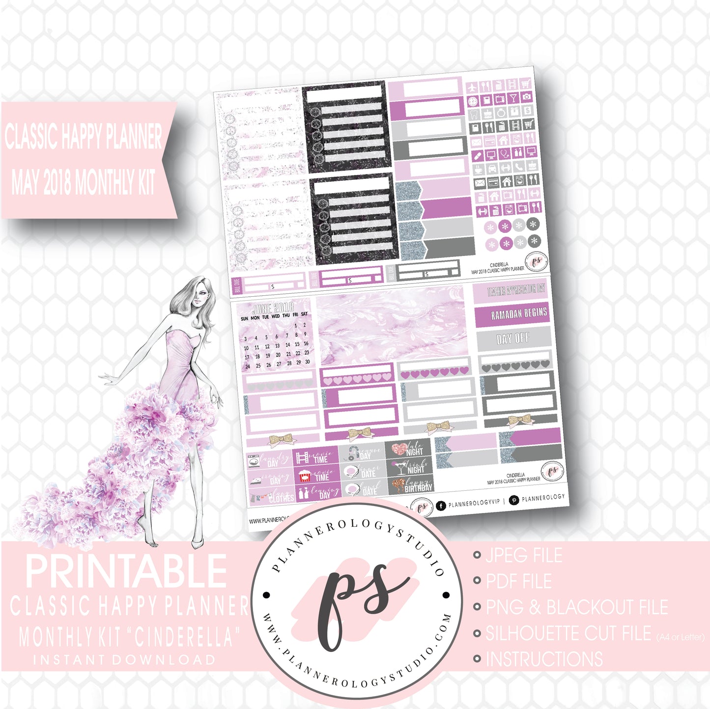 Cinderella May 2018 Monthly View Kit Digital Printable Planner Stickers (for use with Classic Happy Planner) - Plannerologystudio