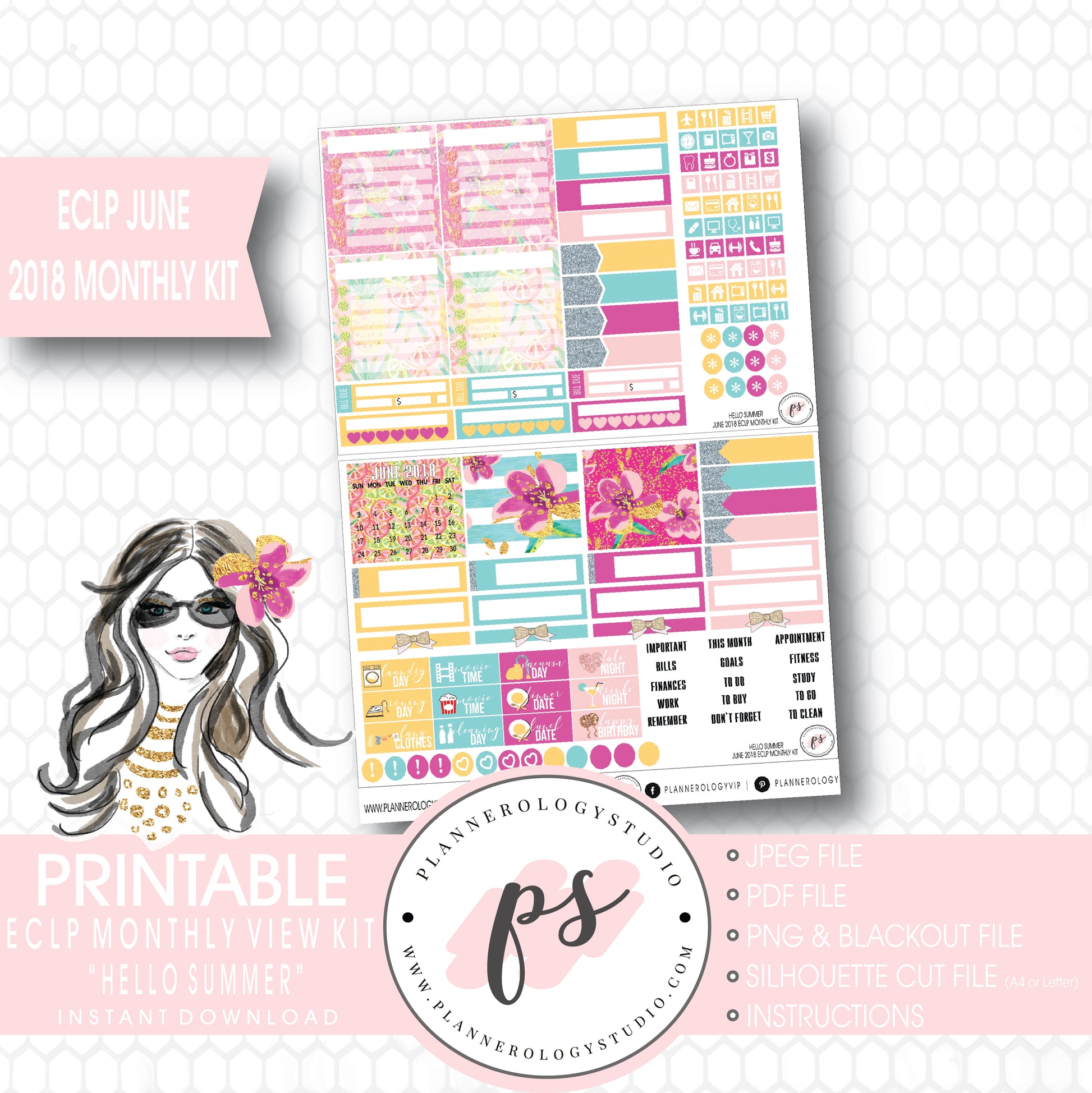 Hello Summer June 2018 Monthly View Kit Digital Printable Planner Stickers (for use with Erin Condren) - Plannerologystudio