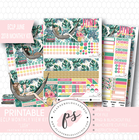 Lush Summer June 2018 Monthly View Kit Digital Printable Planner Stickers (for use with Erin Condren) - Plannerologystudio