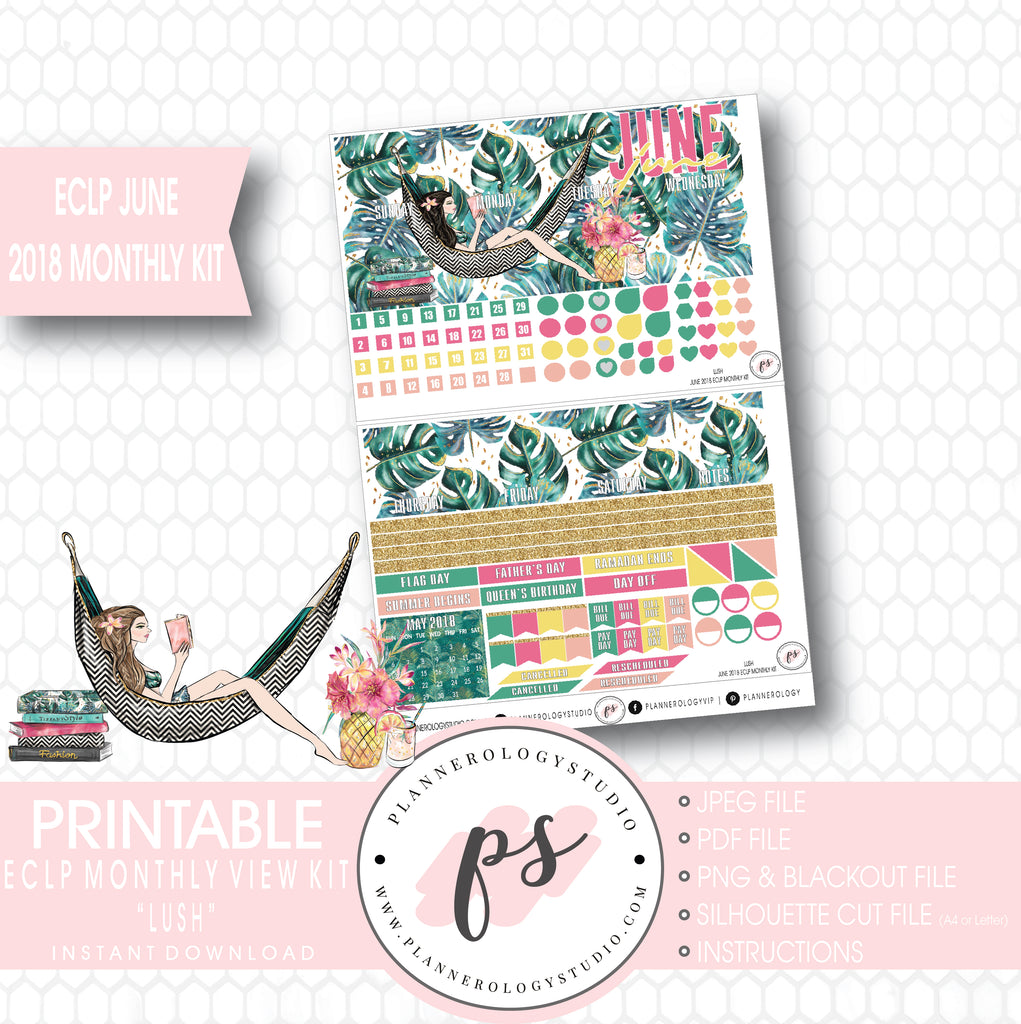 Lush Summer June 2018 Monthly View Kit Digital Printable Planner Stickers (for use with Erin Condren) - Plannerologystudio