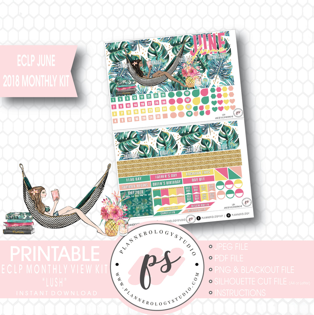 Lush Summer June 2018 Monthly View Kit Digital Printable Planner Stickers (for use with Erin Condren) - Plannerologystudio