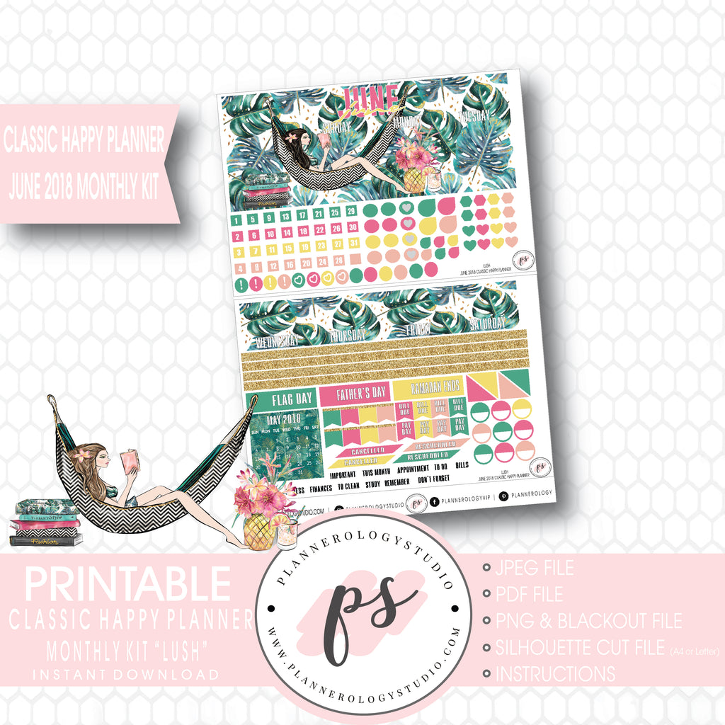 Lush Summer June 2018 Monthly View Kit Digital Printable Planner Stickers (for use with Classic Happy Planner) - Plannerologystudio