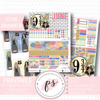 Spellbound (Harry Potter) June 2018 Monthly View Kit Digital Printable Planner Stickers (for use with Erin Condren) - Plannerologystudio