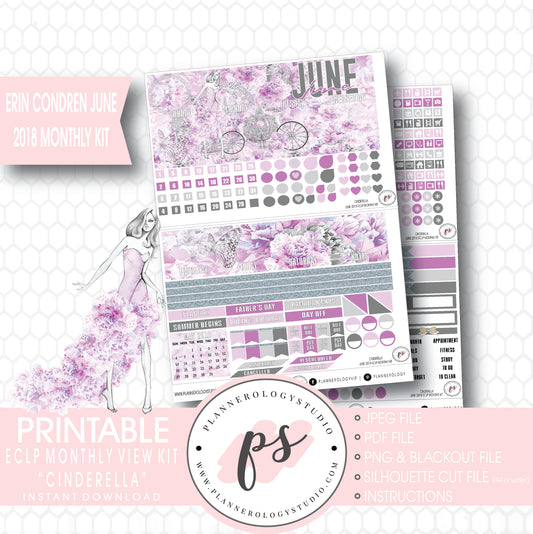 Cinderella June 2018 Monthly View Kit Digital Printable Planner Stickers (for use with Erin Condren) - Plannerologystudio