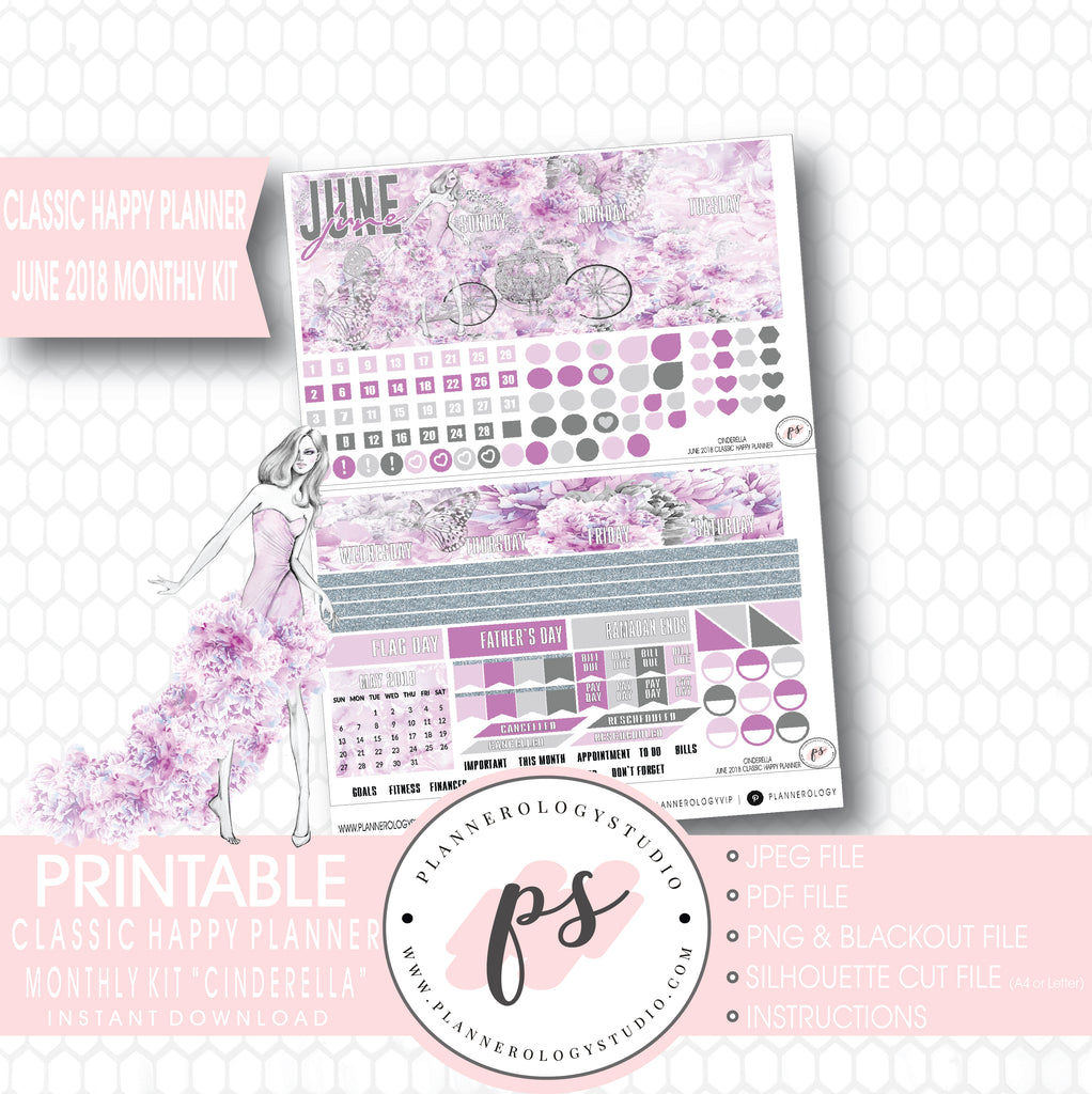Cinderella June 2018 Monthly View Kit Digital Printable Planner Stickers (for use with Classic Happy Planner) - Plannerologystudio