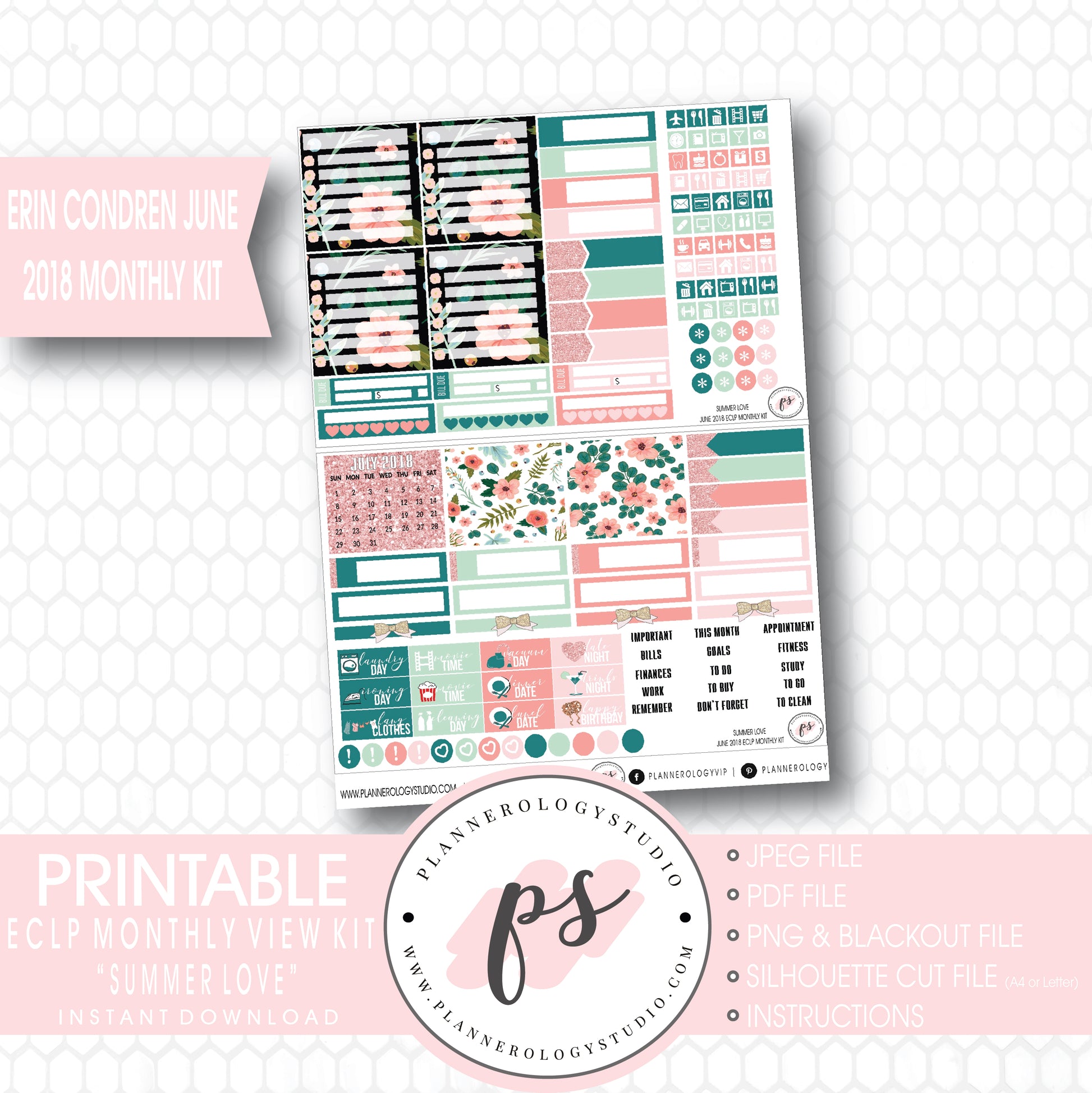 Summer Love June 2018 Monthly View Kit Digital Printable Planner Stickers (for use with Erin Condren) - Plannerologystudio