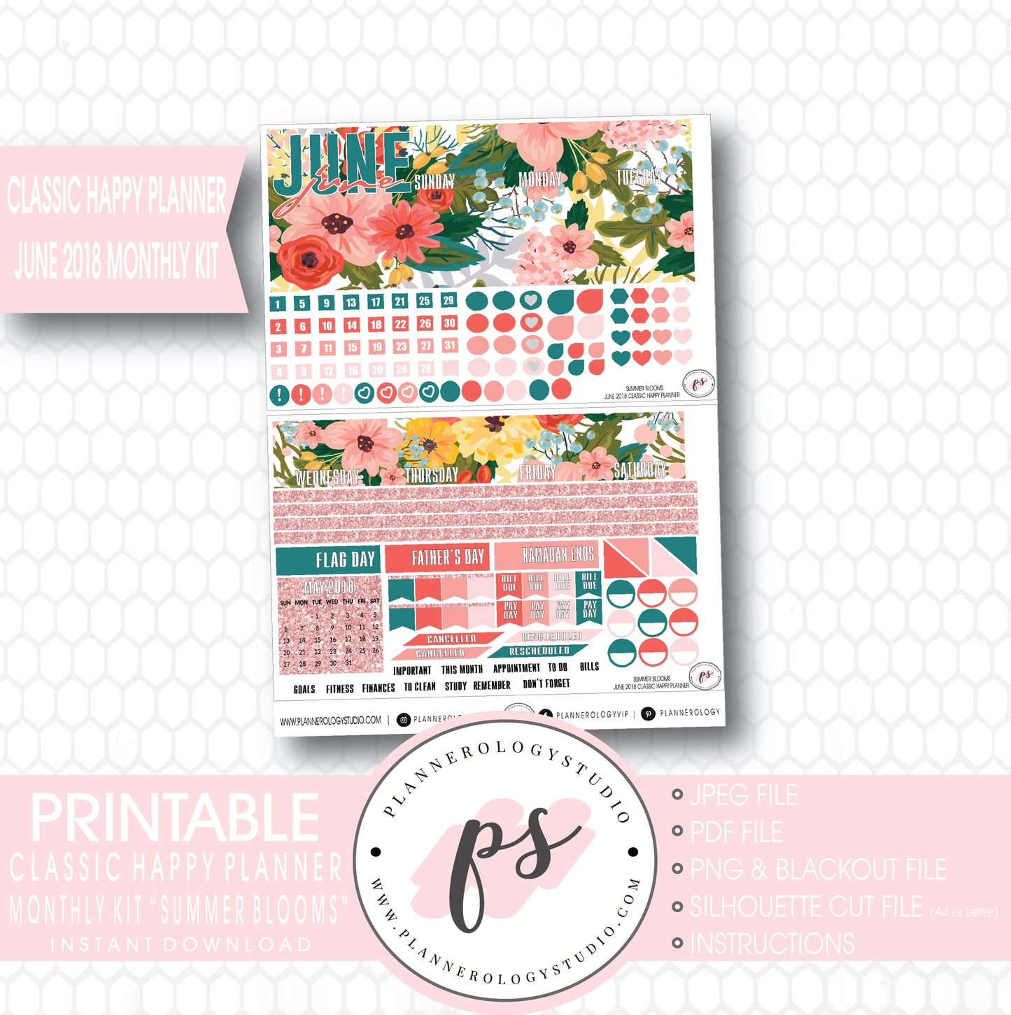 Summer Blooms June 2018 Monthly View Kit Digital Printable Planner Stickers (for use with Classic Happy Planner) - Plannerologystudio