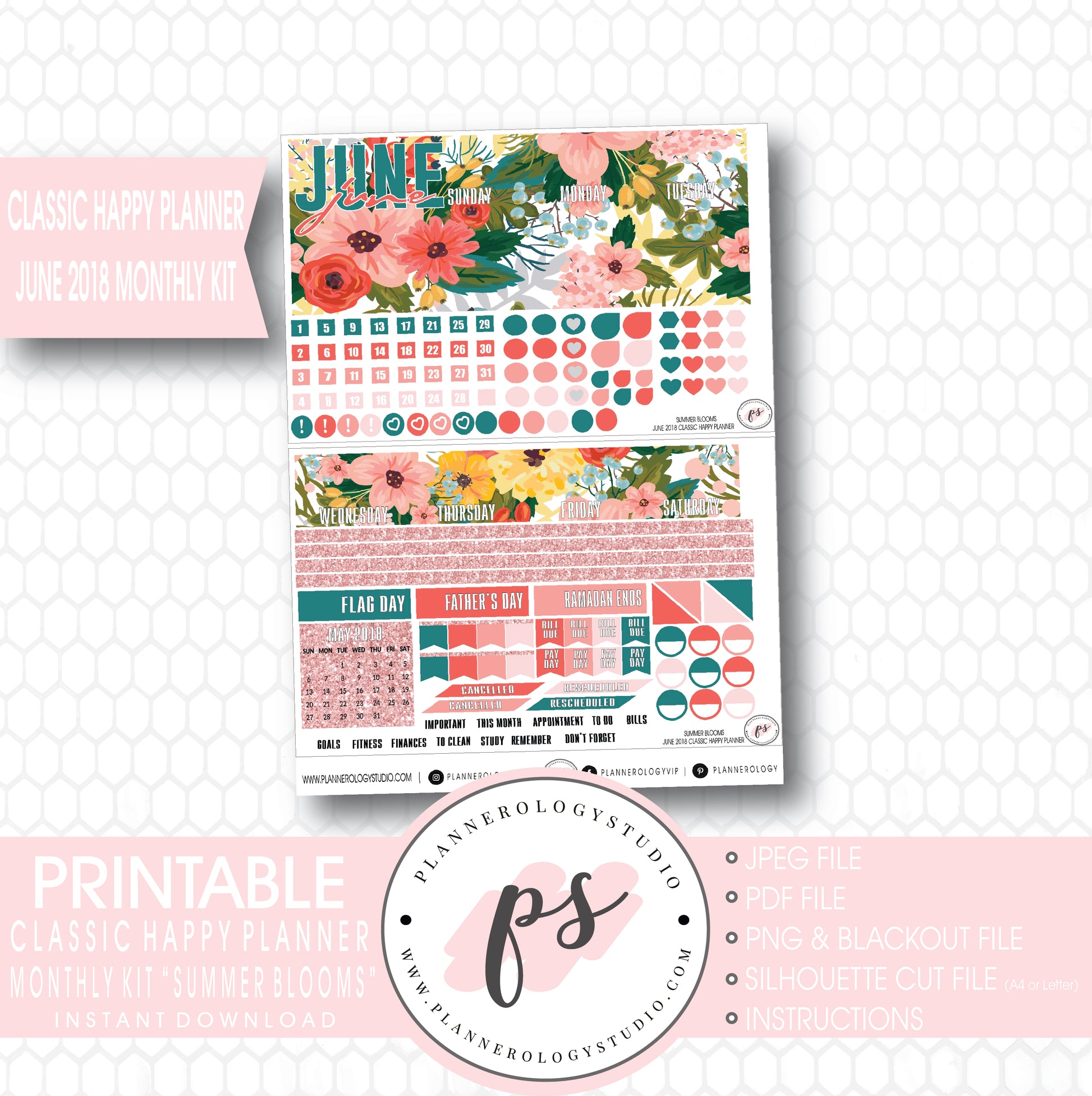 Summer Blooms June 2018 Monthly View Kit Digital Printable Planner Stickers (for use with Classic Happy Planner) - Plannerologystudio