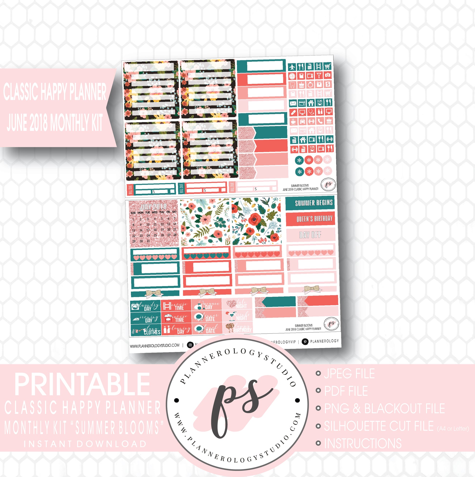 Summer Blooms June 2018 Monthly View Kit Digital Printable Planner Stickers (for use with Classic Happy Planner) - Plannerologystudio