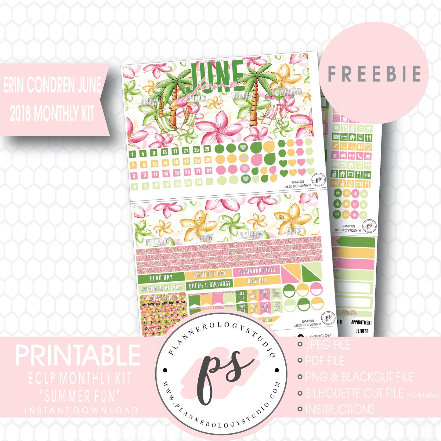 Summer Fun ECLP Erin Condren June 2018 Monthly Kit Digital Printable Planner Stickers (PDF/JPG/PNG/Silhouette Cut File Freebie) - Plannerologystudio