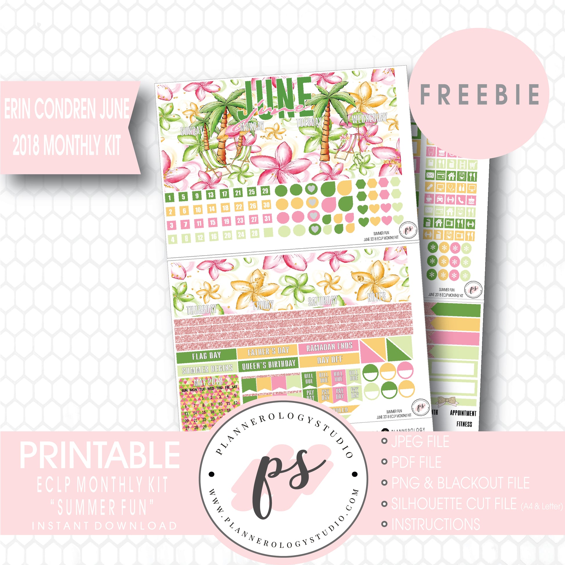 Summer Fun ECLP Erin Condren June 2018 Monthly Kit Digital Printable Planner Stickers (PDF/JPG/PNG/Silhouette Cut File Freebie) - Plannerologystudio