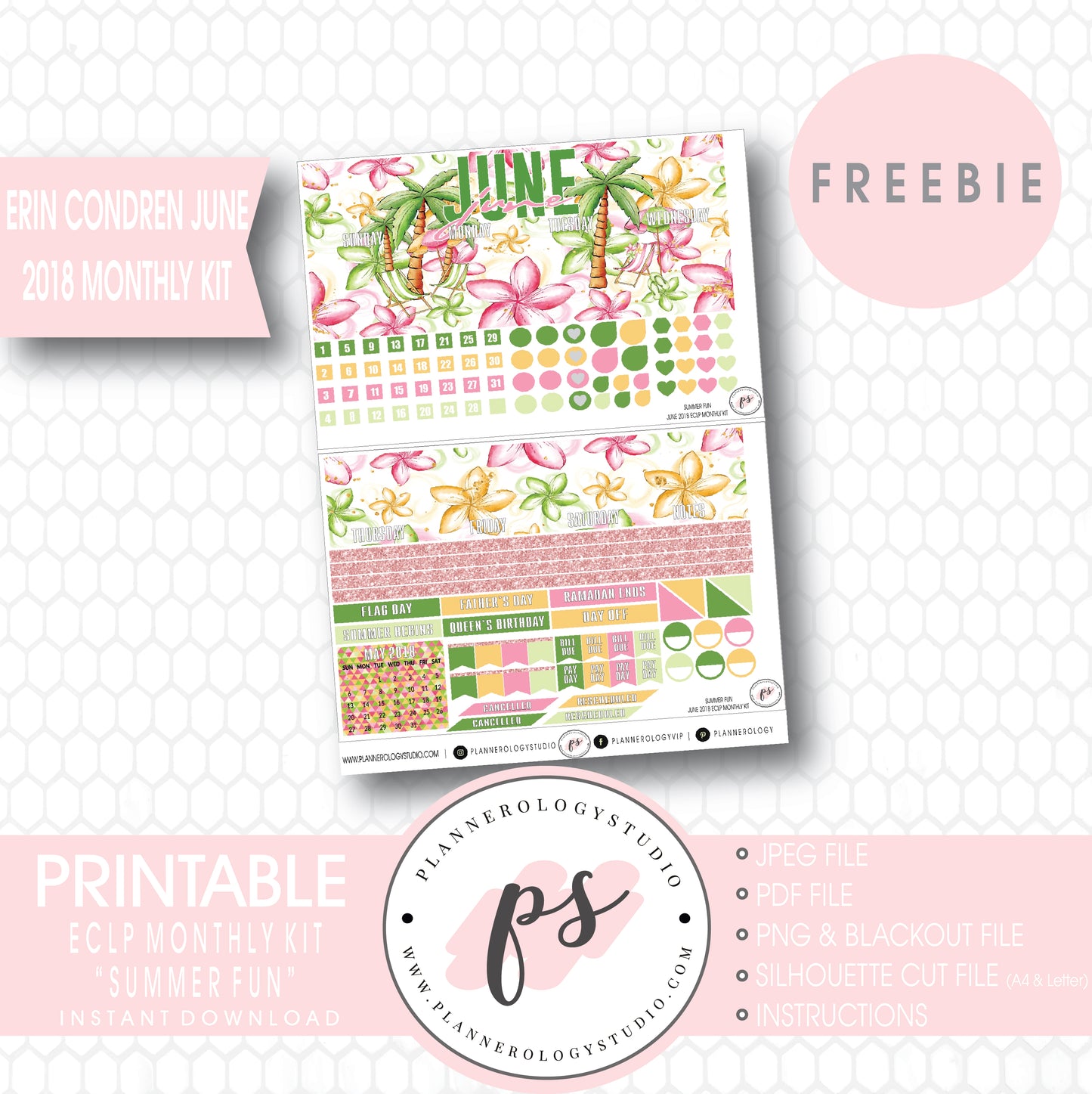 Summer Fun ECLP Erin Condren June 2018 Monthly Kit Digital Printable Planner Stickers (PDF/JPG/PNG/Silhouette Cut File Freebie) - Plannerologystudio