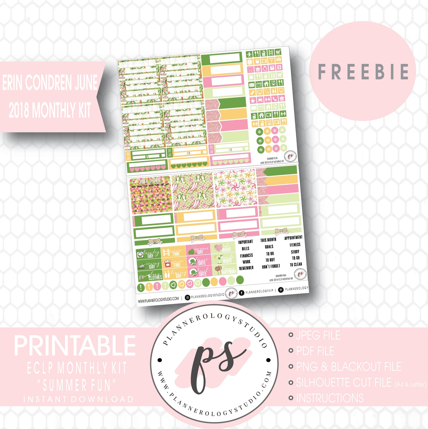Summer Fun ECLP Erin Condren June 2018 Monthly Kit Digital Printable Planner Stickers (PDF/JPG/PNG/Silhouette Cut File Freebie) - Plannerologystudio