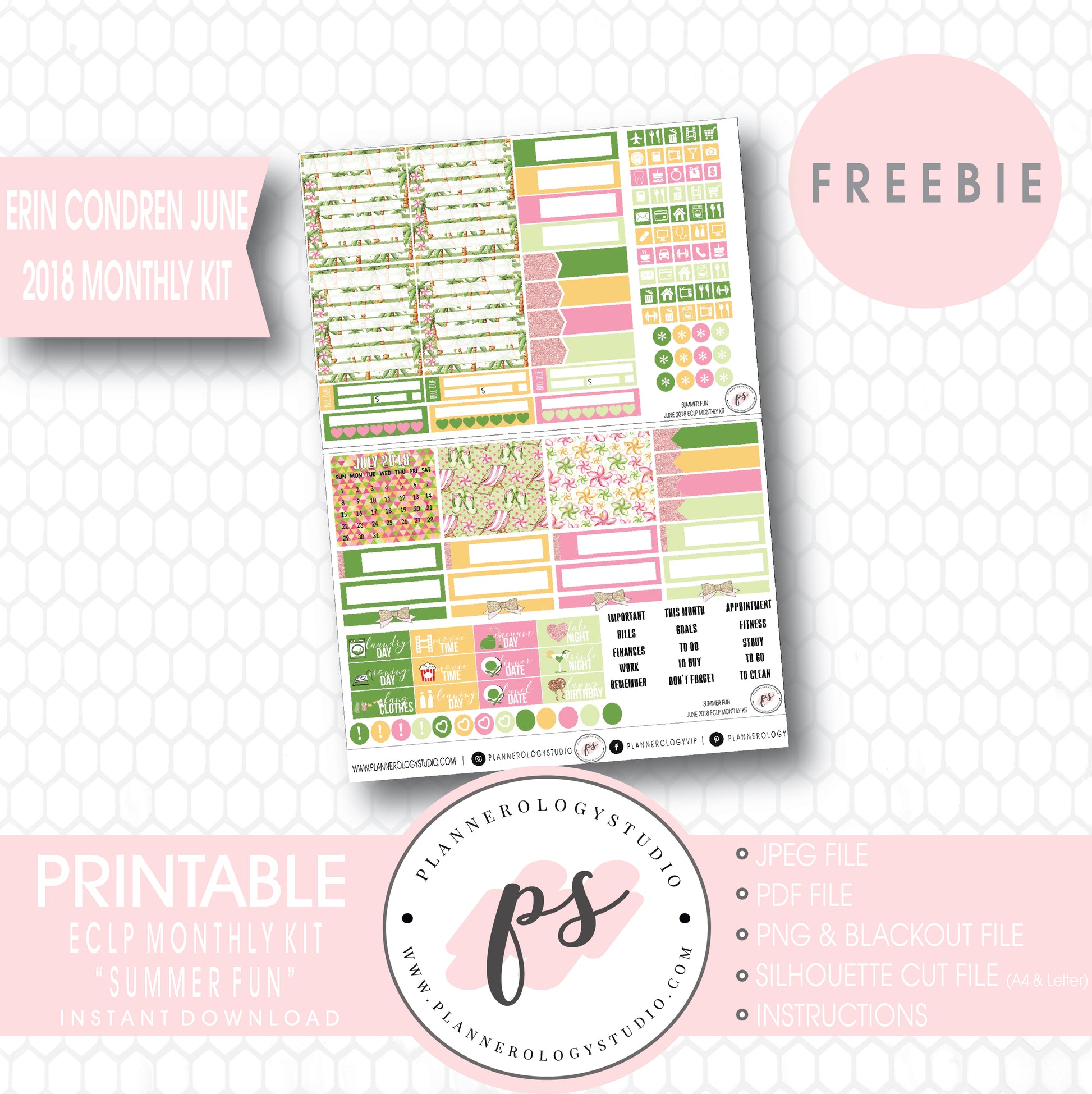 Summer Fun ECLP Erin Condren June 2018 Monthly Kit Digital Printable Planner Stickers (PDF/JPG/PNG/Silhouette Cut File Freebie) - Plannerologystudio