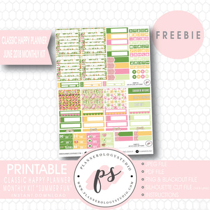 Summer Fun Classic Happy Planner June 2018 Monthly Kit Digital Printable Planner Stickers (PDF/JPG/PNG/Silhouette Cut File Freebie) - Plannerologystudio