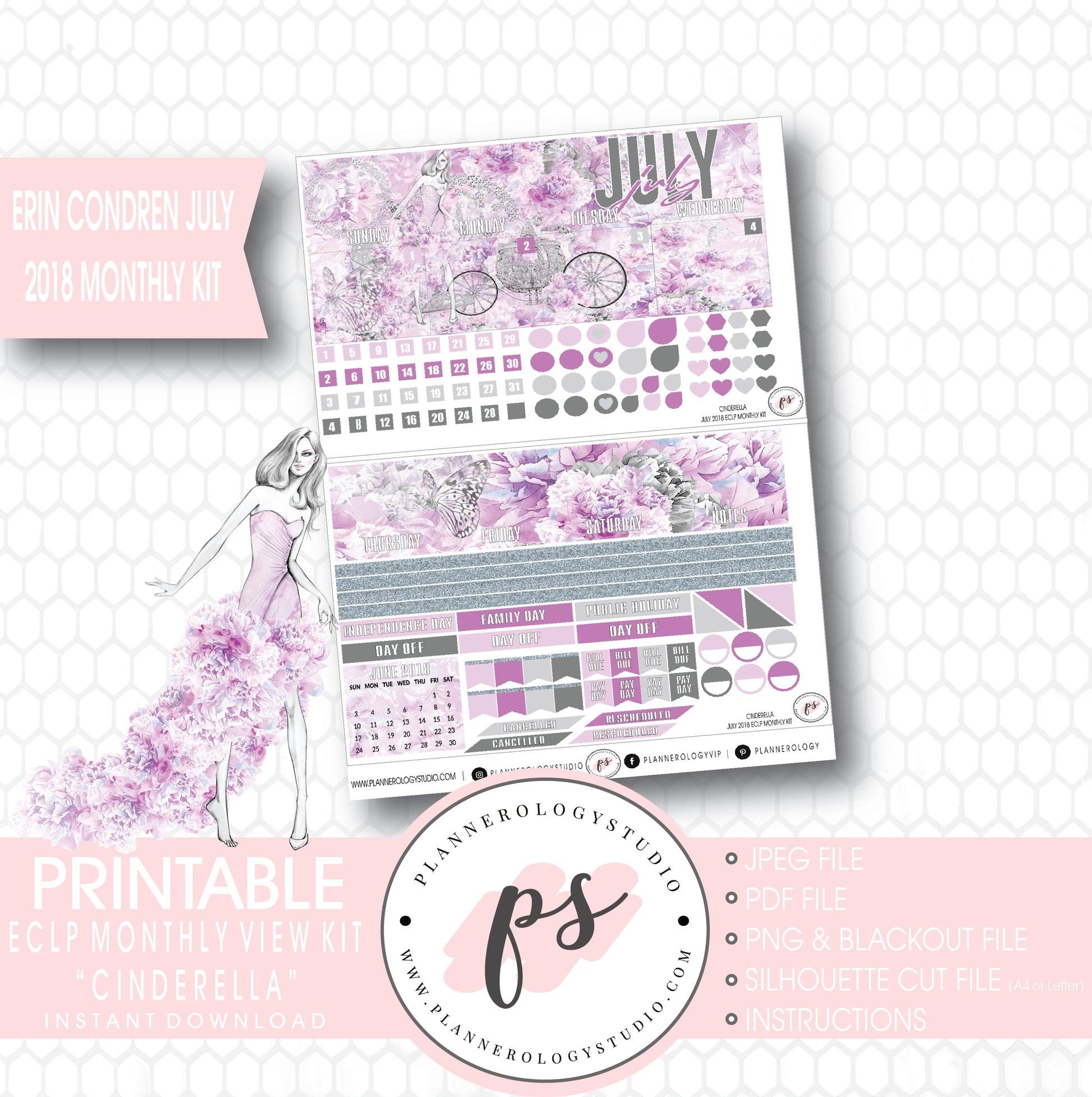 Cinderella July 2018 Monthly View Kit Digital Printable Planner Stickers (for use with Erin Condren) - Plannerologystudio